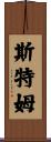 Sturm Scroll