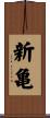 新亀 Scroll