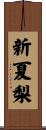 新夏梨 Scroll
