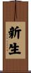 New Life Scroll
