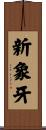 新象牙 Scroll