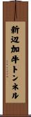 新辺加牛トンネル Scroll