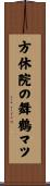 方休院の舞鶴マツ Scroll