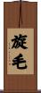 旋毛 Scroll