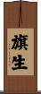 旗生 Scroll