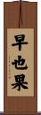 早也果 Scroll