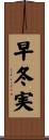 早冬実 Scroll