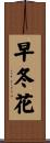 早冬花 Scroll