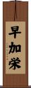 早加栄 Scroll