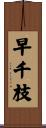 早千枝 Scroll