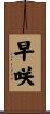 早咲 Scroll