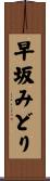 早坂みどり Scroll