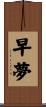 早夢 Scroll