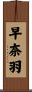 早奈羽 Scroll