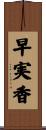 早実香 Scroll