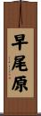 早尾原 Scroll