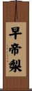 早帝梨 Scroll
