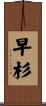早杉 Scroll