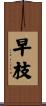 早枝 Scroll