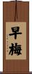 早梅 Scroll