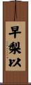 早梨以 Scroll