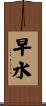 早水 Scroll