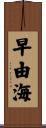 早由海 Scroll