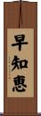 早知恵 Scroll