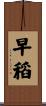 早稻 Scroll
