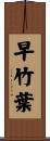 早竹葉 Scroll