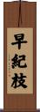 早紀枝 Scroll