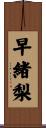 早緒梨 Scroll