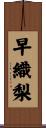早織梨 Scroll