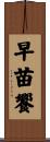 早苗饗 Scroll
