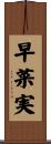 早菜実 Scroll