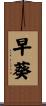 早葵 Scroll