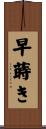 早蒔き Scroll