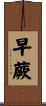 早蕨 Scroll