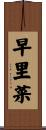 早里菜 Scroll