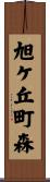 旭ケ丘町森 Scroll