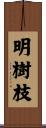明樹枝 Scroll