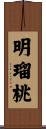 明瑠桃 Scroll