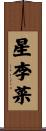 星李菜 Scroll