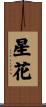星花 Scroll
