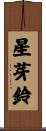 星芽鈴 Scroll