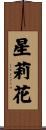 星莉花 Scroll