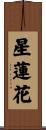 Star Lotus Scroll
