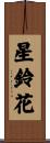 星鈴花 Scroll