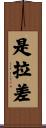 是拉差 Scroll