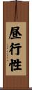昼行性 Scroll